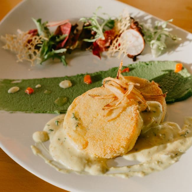 A close-up of a beautifully plated seasonal dish on a simple white ceramic plate, featuring fresh vegetables and herbs with natural light catching the textures — the kind of food that looks honest and genuinely good